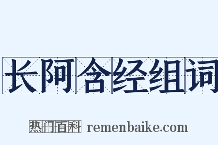 长阿含经组词是什么意思的图片